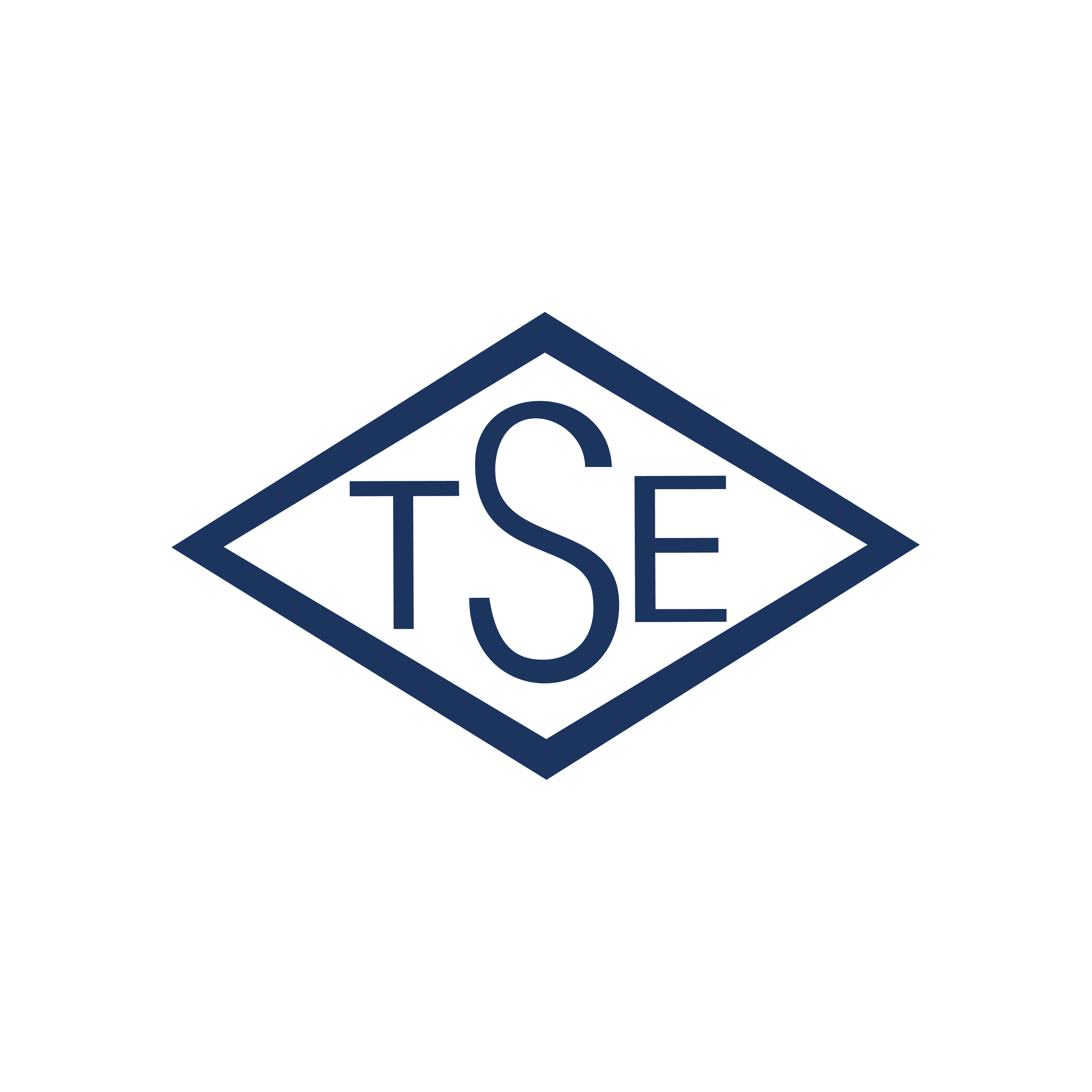 TSE Logo